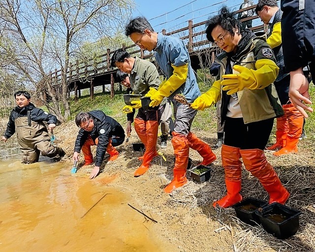 금강유역환경청이 10일 태안에 멸종위기종 매화마름 300종을 식재했다. 금강유역환경청 제공.