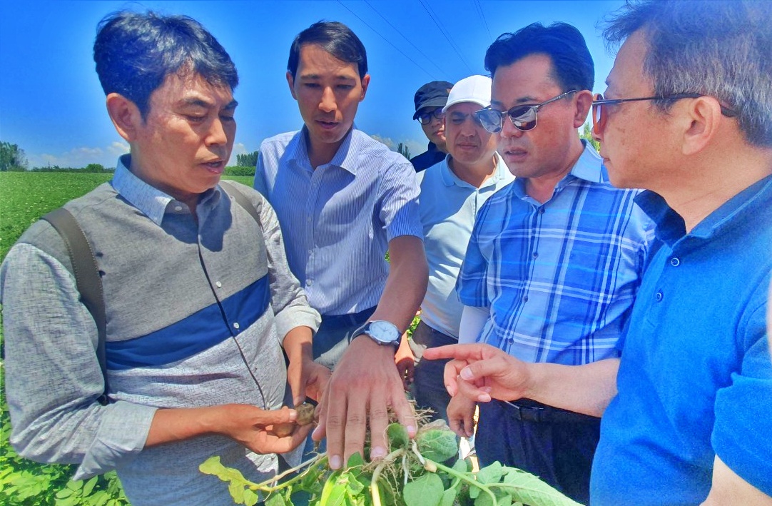 이들은 현지 토양 개량이 필요하고 생산성을 높일수 있는 무균씨감자 재배를 위한 '배양장' 구축을 관건으로 꼽았다. 김다소미 기자. 왼쪽부터 나눔에프앤비 이화수 대표, 박정현 군수, 바이오숨 박영희 대표. 