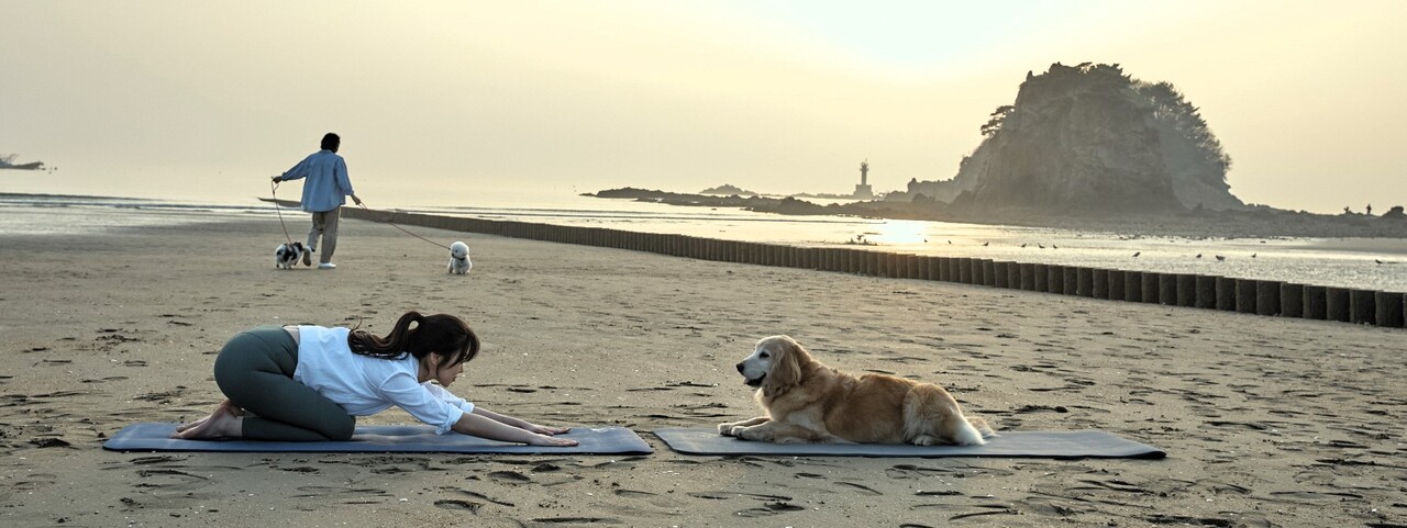 태안 꽃지해수욕장에서 ‘도가’를 즐기는 모습. 한국관광공사 제공.
