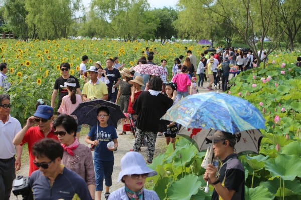 올해로 16회째를 맞고 있는 '부여서동연꽃축제'에 수 많은 관광객들이 몰려 축제에 대한 전국적 인기를 실감케 하고 있다.(사진=부여군 제공)