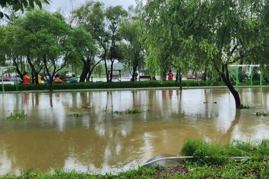 서동연꽃축제가 열리는 부여 궁남지 일대가 기록적인 폭우로 물에 잠겼다. 독자 제공. 