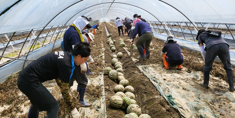 충남도가 20일부터 농림축산국 및 산하직원 360여명을 긴급 투입해 폭우피해 복구작업을 벌인다. 충남도 제공.
