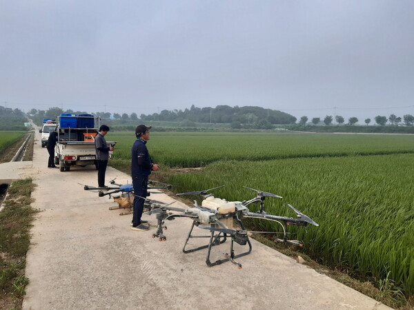 드론을 이용한 공동방제 장면.