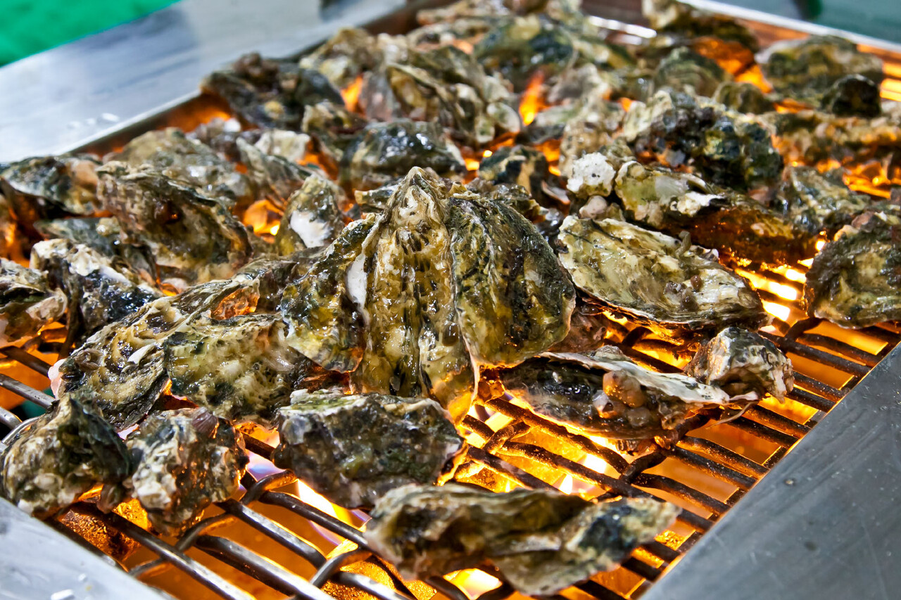 천북 굴 구이. 보령시 제공.