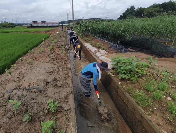 호우로 떠밀려온 수초 및 쓰레기 제거 작업 사진.