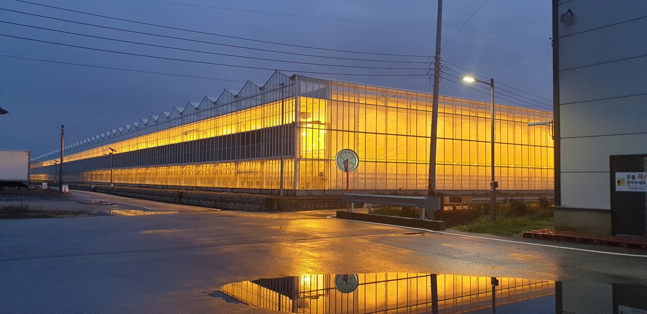 우듬지팜 전경. 우듬지팜 제공.