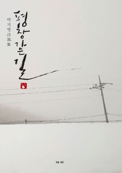 박지영 시인이 펴낸 '평창 가는 길'.