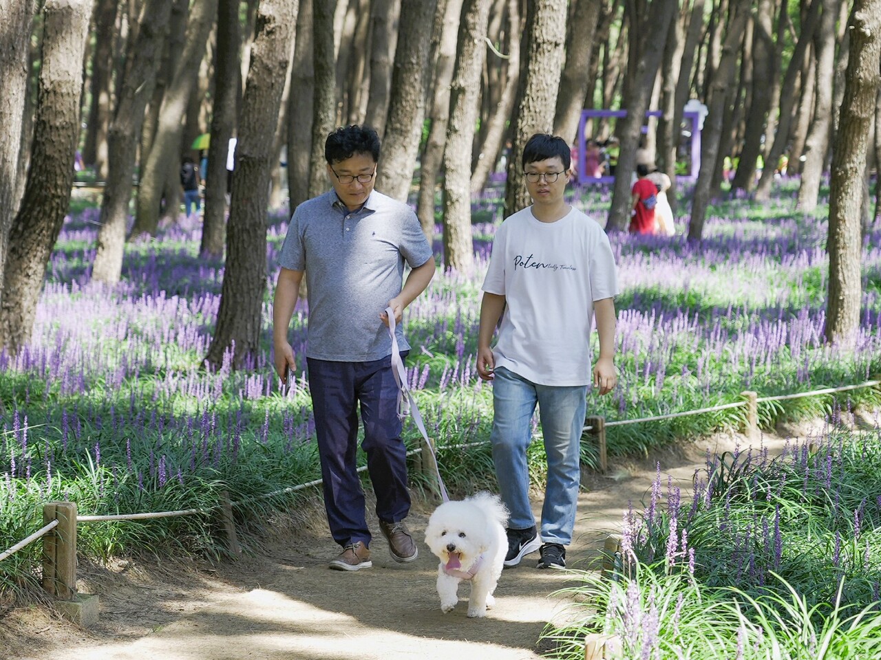 반려동물과 산책중인 관광객. 서천군 제공.