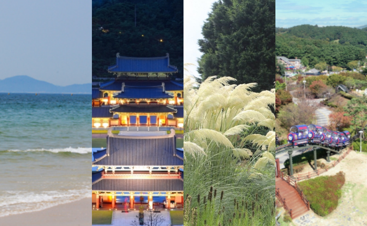 워케이션 성지로 불리는 충남도가 하반기 '워케이션' 참가자를 모집한다. 왼쪽부터 대천 해수욕장, 부여 백제문화단지 야경, 태안 천리포수목원, 예산 모노레일 자료 사진. 각 시군 홈페이지 갈무리. 