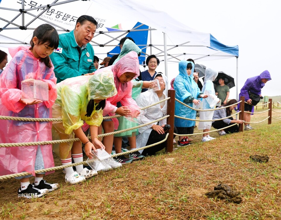 13일 원북면 신두리 해안사구에서 진행된 소똥구리 방사행사. 태안군 제공.