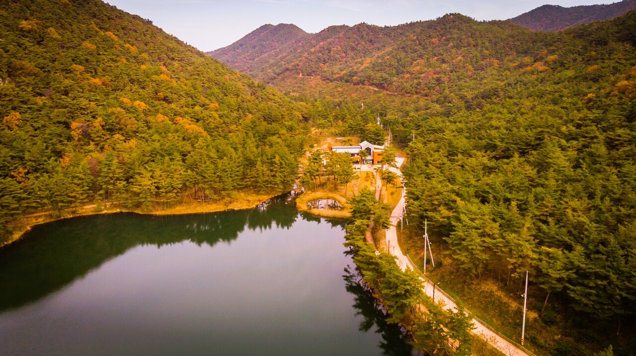 치유의 숲. 서천군 제공.