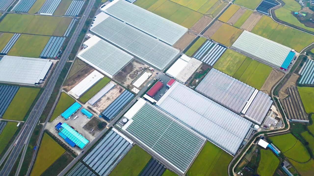 우듬지팜 유리온실 전경. 우듬지팜이 부여 기업 최초 코스닥에 상장한지 일주일만에 책임경영을 강화하기 위해 '각자대표' 체제로 전환했다. 자료사진. 