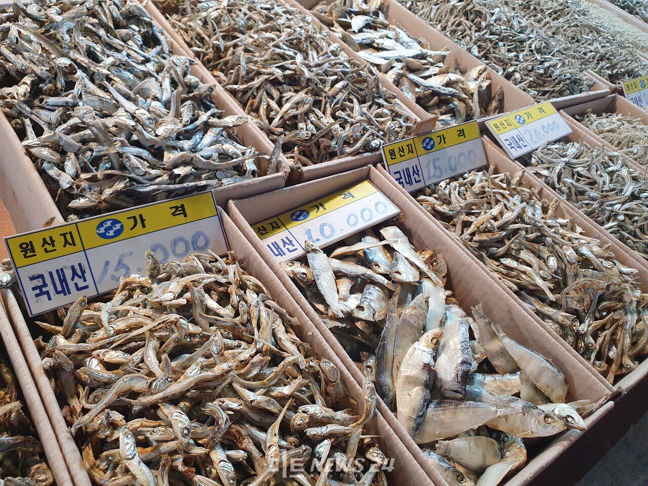 광천시장에서 판매되는 멸치와 디포리. 한산한 시장 내 분위기에 상인들은 쓴웃음을 지어보였다. 김다소미 기자.