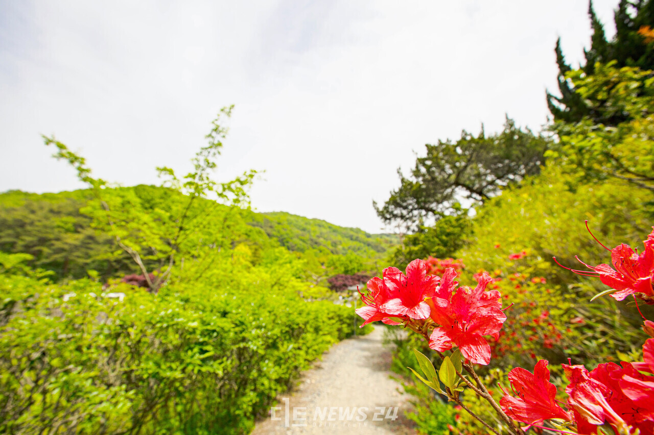 민간이 운영하는 명품 숲과 나무, 꽃 체험 공간인 '고운식물원' 전경. 