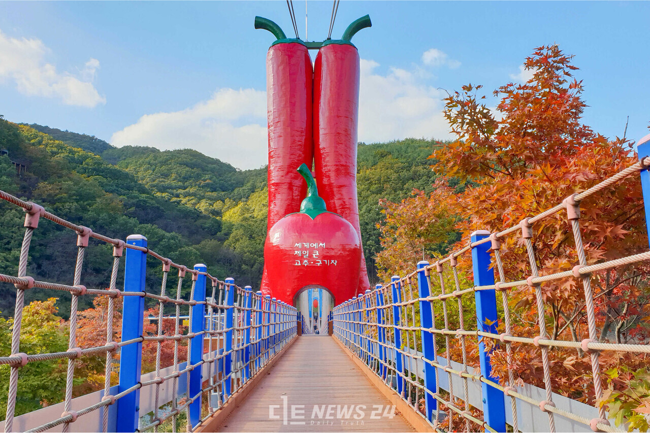 청양군의 명소 칠갑산 '출렁다리'. 청양군 제공.  