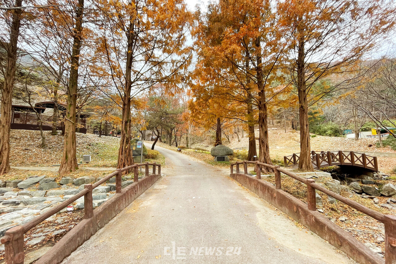 칠갑산 자연휴양림. 