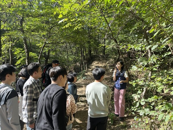 유성구 1인가구 ‘마음 건강 챙김’ 운영 사진. 한국산림복지진흥원 국립대전숲체원 제공