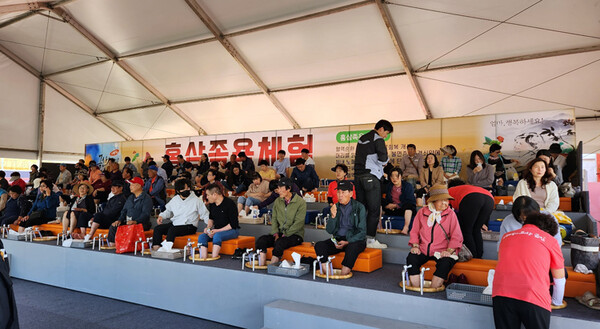 행사 첫날인 6일부터 많은 관광객들이 몰렸다.