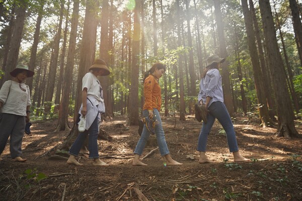 치유의 숲에서 산림치유프로그램을 즐기고 있는 모습. 한국산림복지진흥원 제공