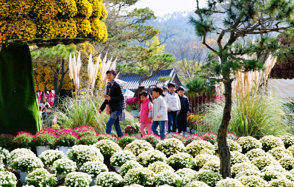 2023년 꽃과 바다 태안 국화축제. 태안군 제공.