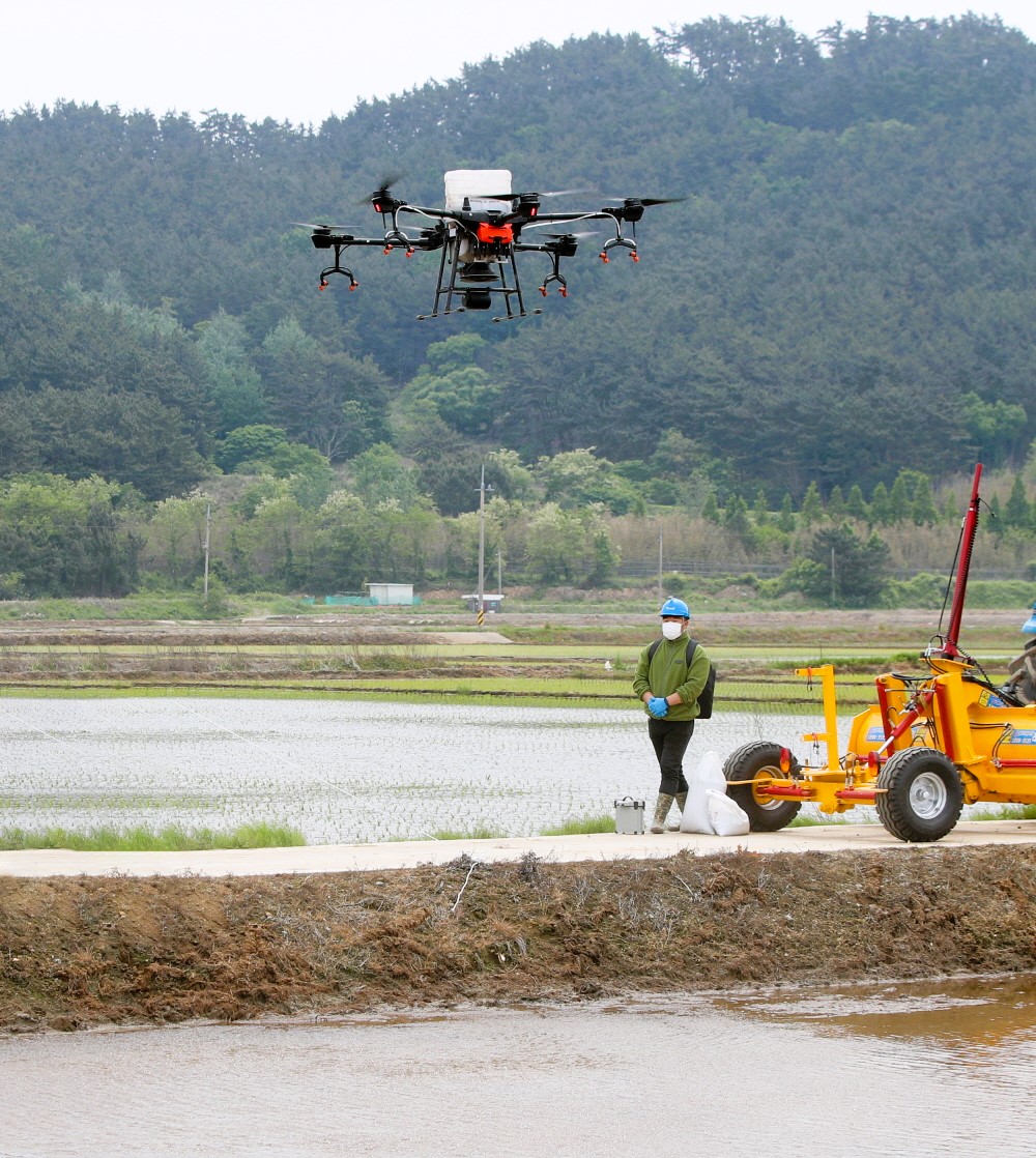 근흥면 정죽리에서 한 농업인이 드론을 활용해 직파용 볍씨를 살포하는 모습. 태안군 제공.