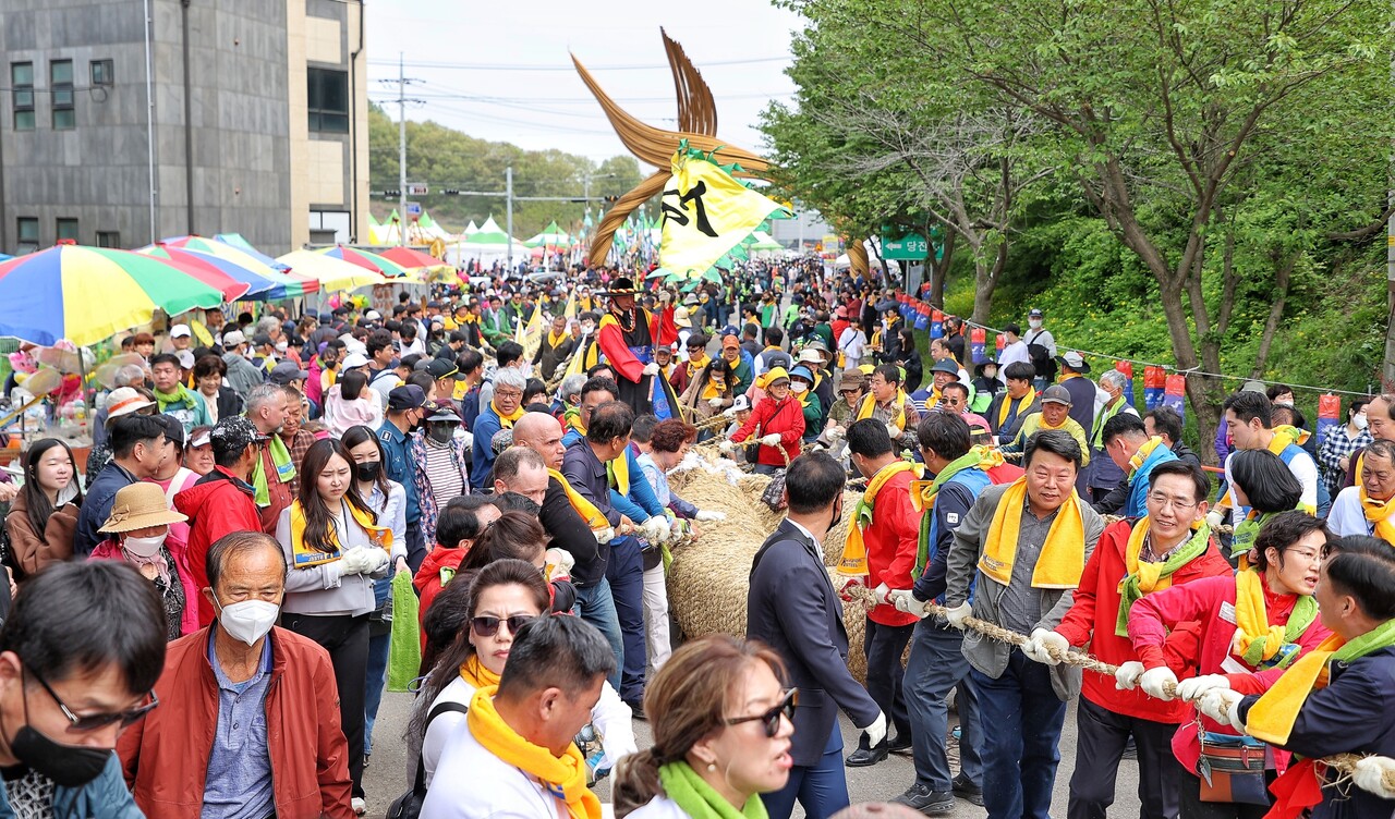 기지시줄다리기축제에서 줄을 이동하는 사람들. 당진시 제공.