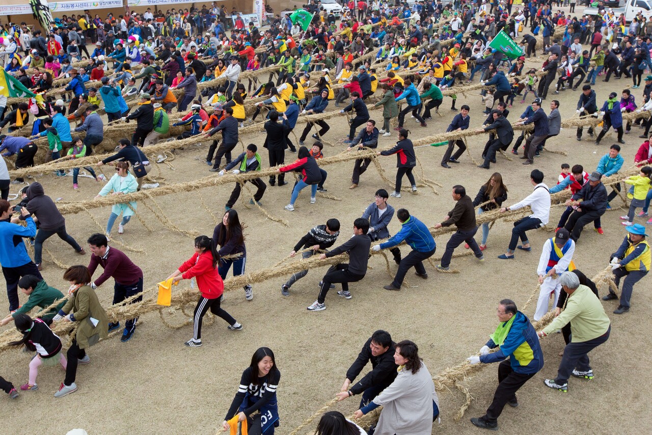기지시줄다리기 축제에 참여해 줄을 당기는 사람들. 당진시 제공.