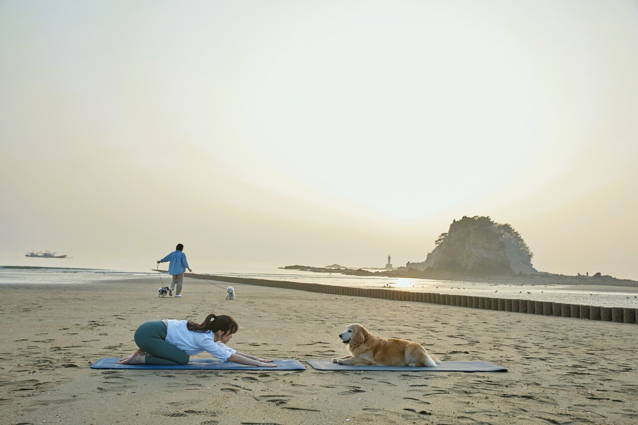 꽃지해수욕장에서 반려인이 도가(Dog+Yoga)를 즐기는 모습. 태안군 제공.