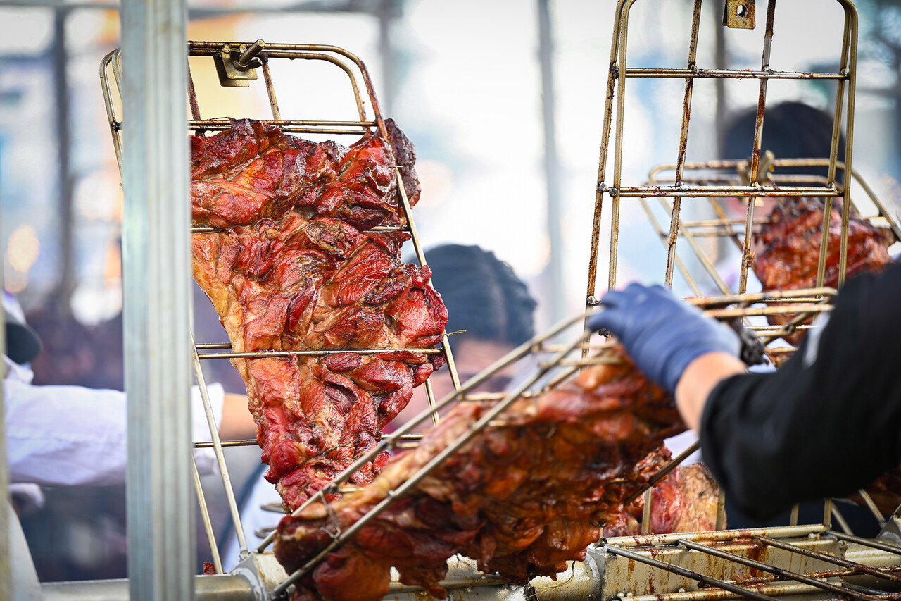 육즙과 풍미가 가득한 바베큐가 관광객들의 입맛을 사로잡았다. 충남 유교문화의 산실인 홍주읍성을 배경삼아 가을밤 맥주한잔에 바베큐 한점 베어물면 피로가 싹 가신다. 홍성군 제공. 
