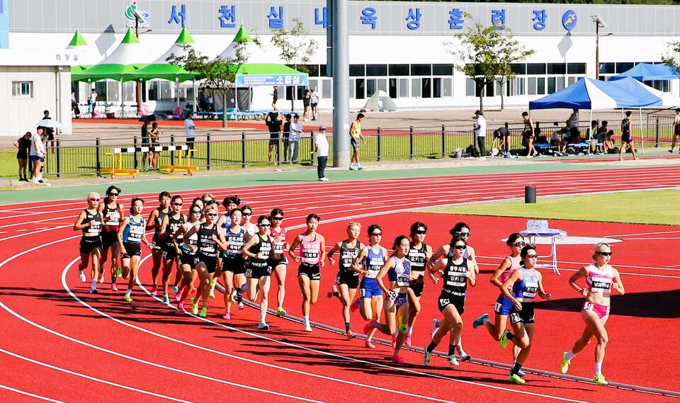 서천군의 스포츠 마케팅이 지역경제활성화의 일등공신으로 부각되고 있다. 서천군 제공.