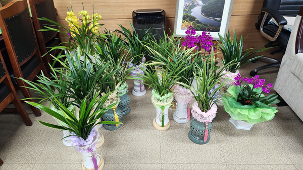 심 부군수 사무실에는 부군수 임명을 축하하는 화분들이 가득차 있었다. 지상현 기자