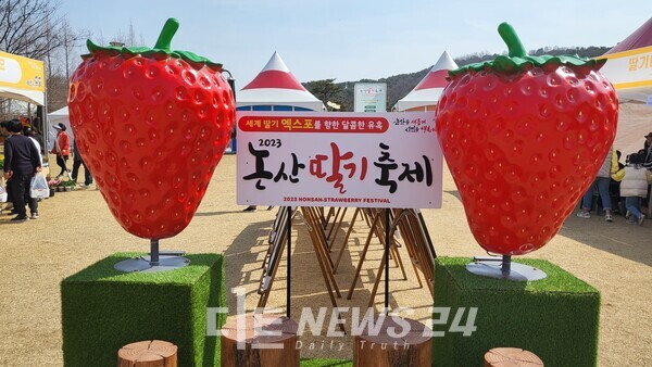 논산딸기축제, ‘2024~2025년 문화체육관광부 예비 축제’ 선정