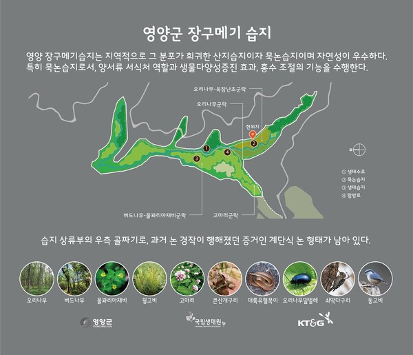 KT&G가 지난 1월 국립생태원과 함께 경북 영양군에 위치한 ‘장구메기 습지’의 보존 공사를 완료했다. 사진은 경북 영양군에 위치한 ‘장구메기 습지’의 안내판 이미지