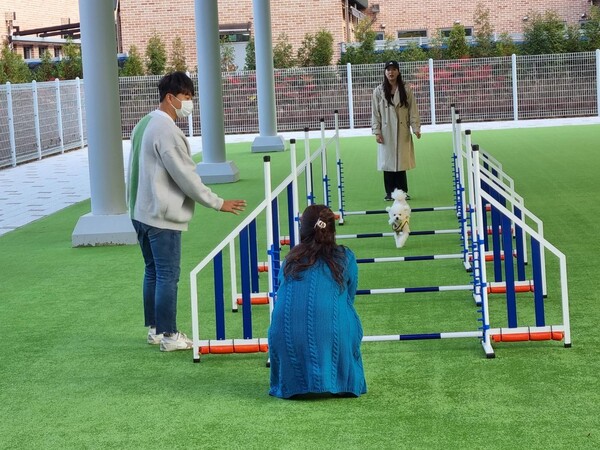 대전반려동물공원, 상반기 교육 프로그램 운영 사진. 대전시 제공.