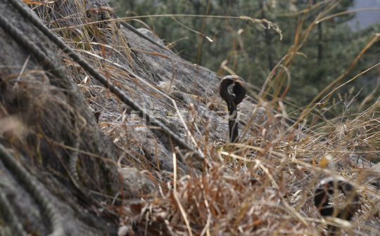  2013년 세종시 전월산에서 발견한 쇠말뚝. 일부가 일제의 소행임을 주장했다. 자료사진.
