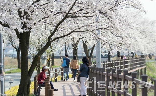 천안북면위례벚꽃축제추진위원회는 오는 4월 6일부터 7일까지 이틀간 북면 은석초등학교 일원에서 ‘제9회 천안위례벚꽃축제’를 개최한다. 자료사진.