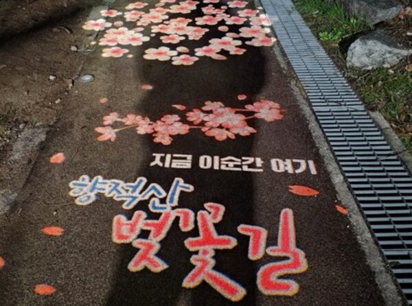 향적산벚꽃길 야간조명 점등 장면.