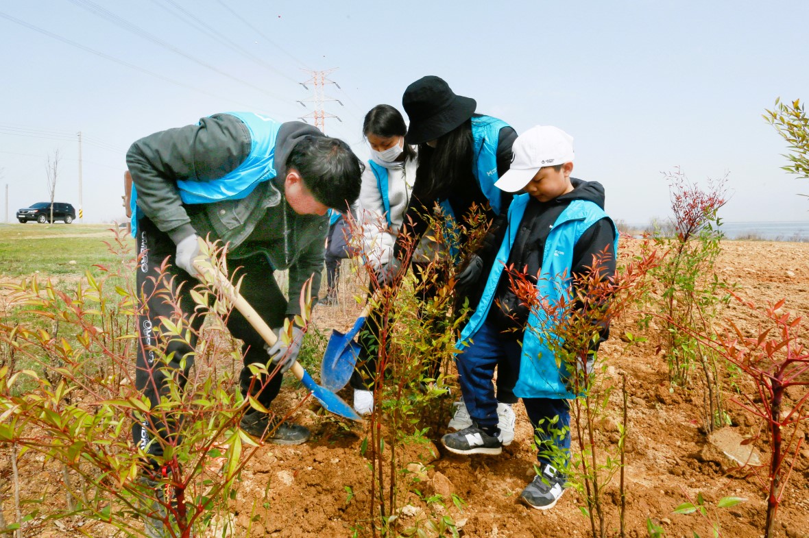 남천나무 식재. 현대제철 제공.