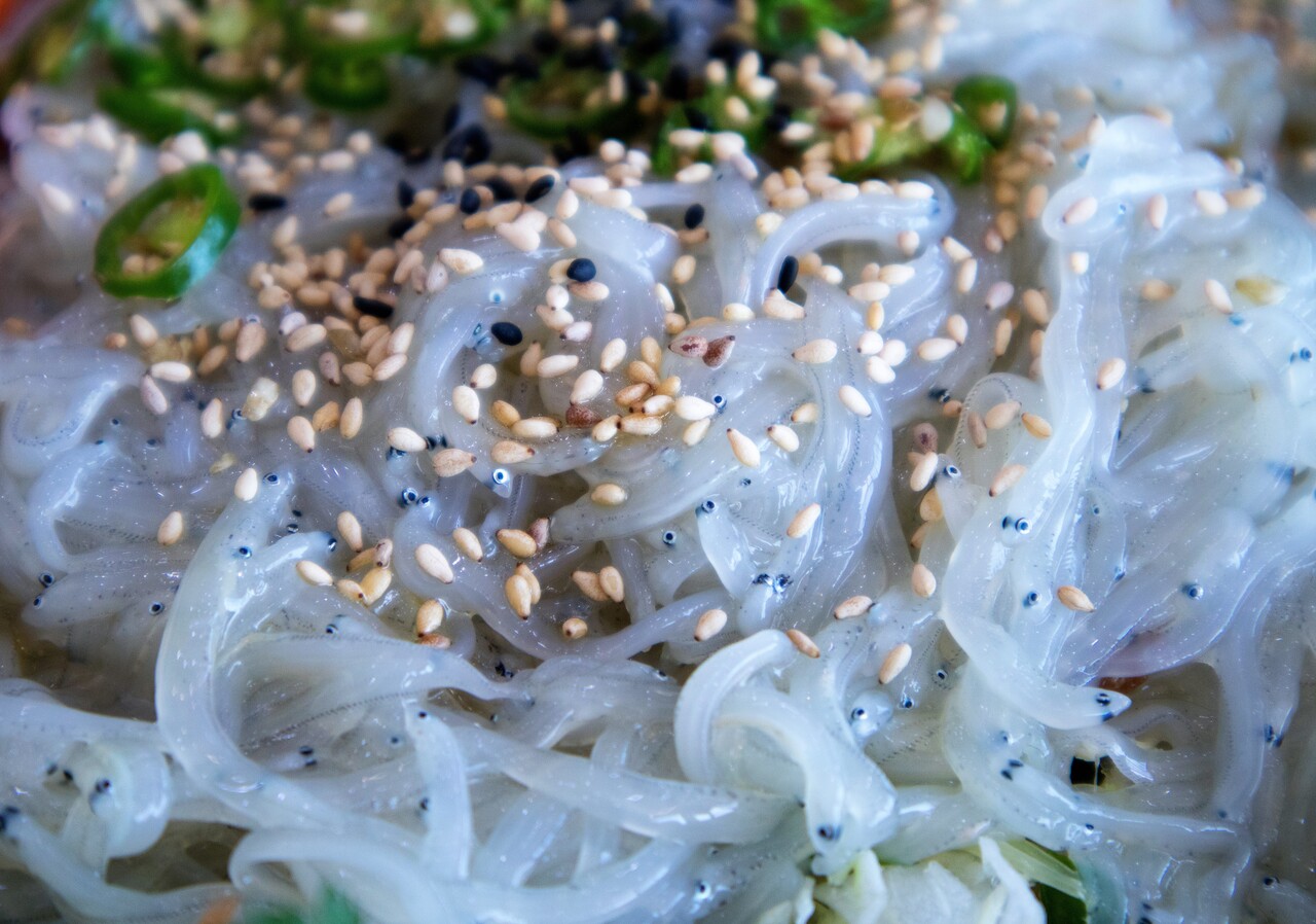 실치회. 당진시 제공.