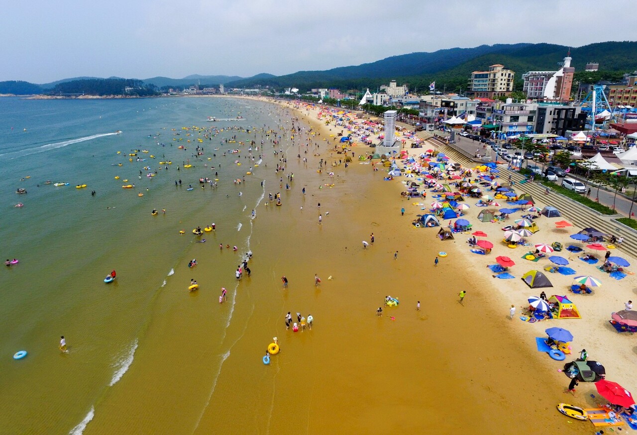 충남도내에서는 가장 먼저 개장(6월 22일)하는 만리포해수욕장. 태안군 제공.