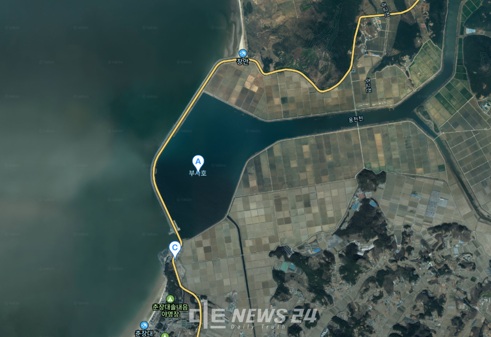 태양광 발전단지사업이 진행 중인 서천 부사호. 다음 지도 캡처