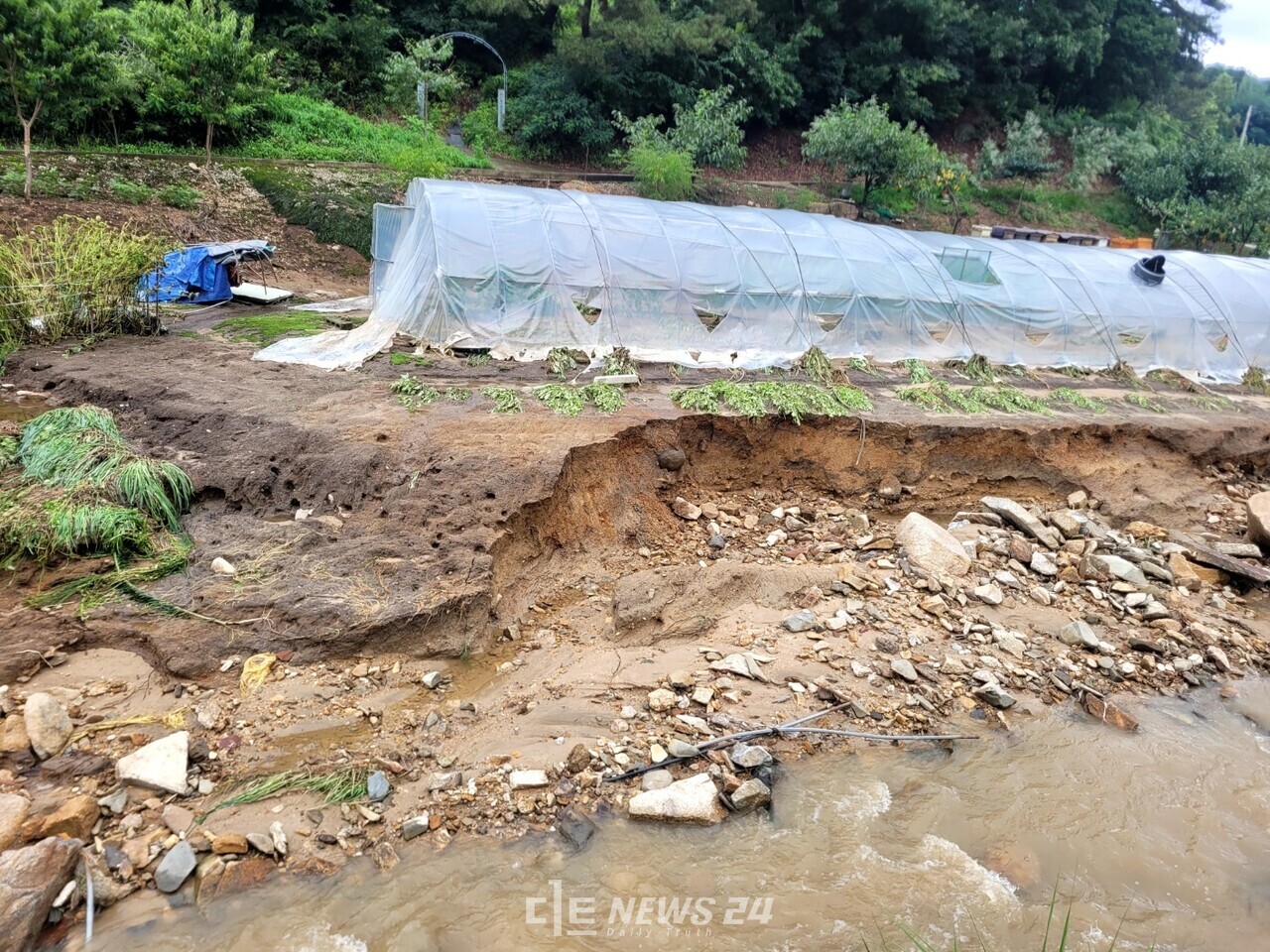 부여 임천면 구교리 둑이 무너진 모습. 이 제방이 무너지면서 아랫마을 민가를 덮쳤다. 다행히 인명피해는 없었지만 마을길이 모두 흙탕물로 뒤덮였다. 김다소미 기자. 