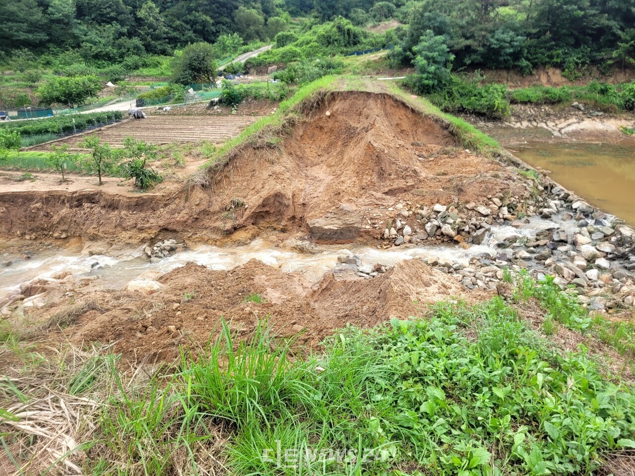무너진 임천면 구교리 소류지 둑. 김태흠 지사는 돈이 더 들더라도 "확실하게 복구하고, 저지대 거주 주민들을 고지대로 이주시켜야 한다"고 말했다. 김다소미 기자. 