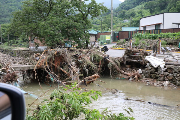 지난 10일부터 시작된 집중호우로 금산군 지역에 큰 피해가 발생했다. 사진은 교얄을 뒤덮은 토사와 나무. /사진제공=금산군
