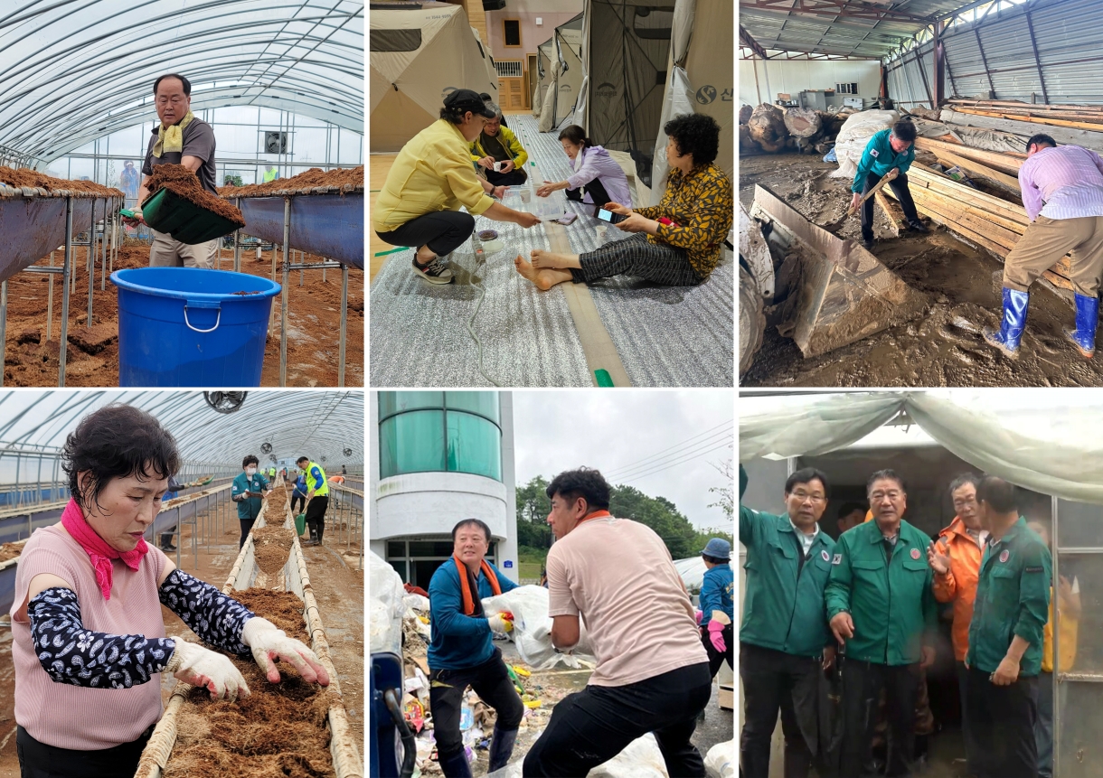 논산시의회 의원들 수해복구 현장사진.