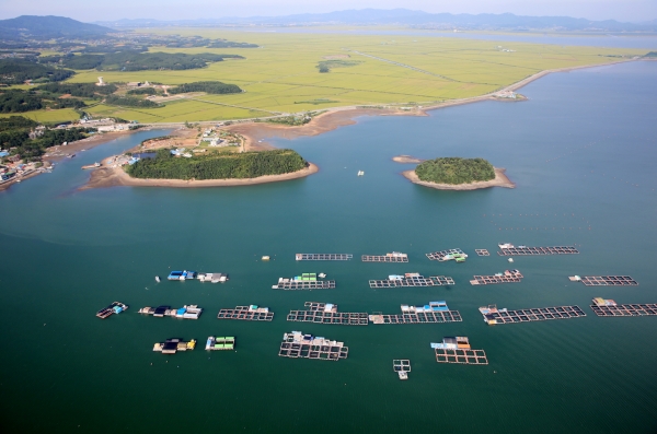 태안 천수만 가두리 양식장 일대 모습. 기사와 무관. 자료사진. 