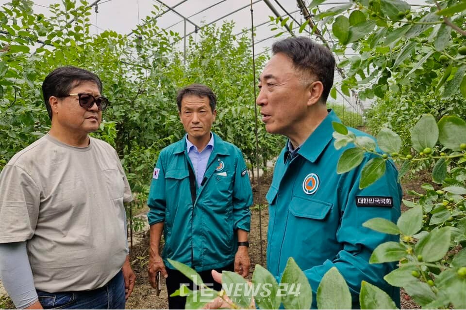 박수현 국회의원이 지난 11일 집중호우 피해를 입은 부여군 왕대추 농장을 찾아 피해 현황을 둘러보고 있는 모습.  박 의원 페이스북 갈무리.