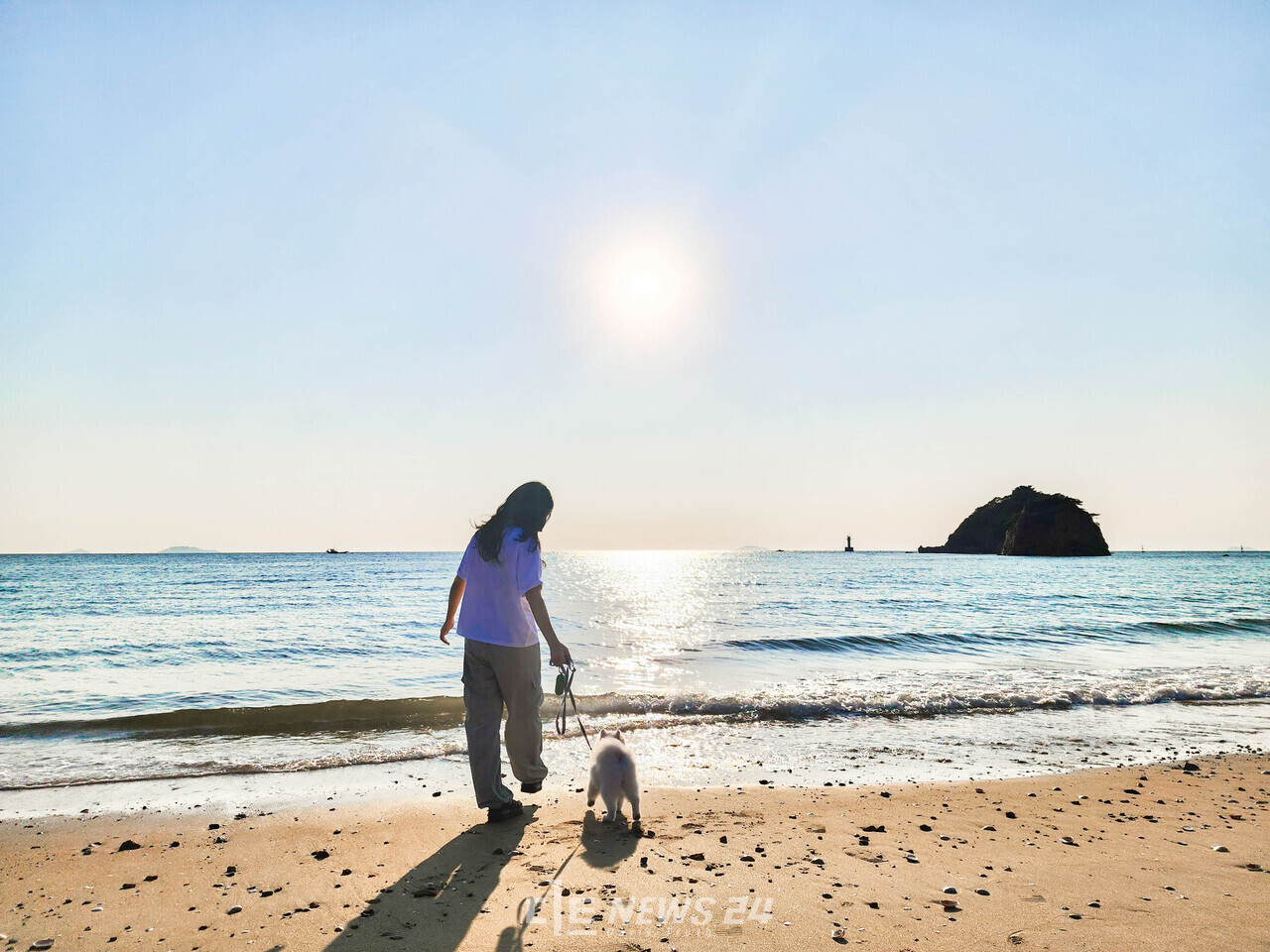태안군이 피서철을 맞아 서울에서 반려동물과 함께 버스를 타고 안면도 꽃지해수욕장을 다녀오는 여행 프로그램을 내놨다.  태안군