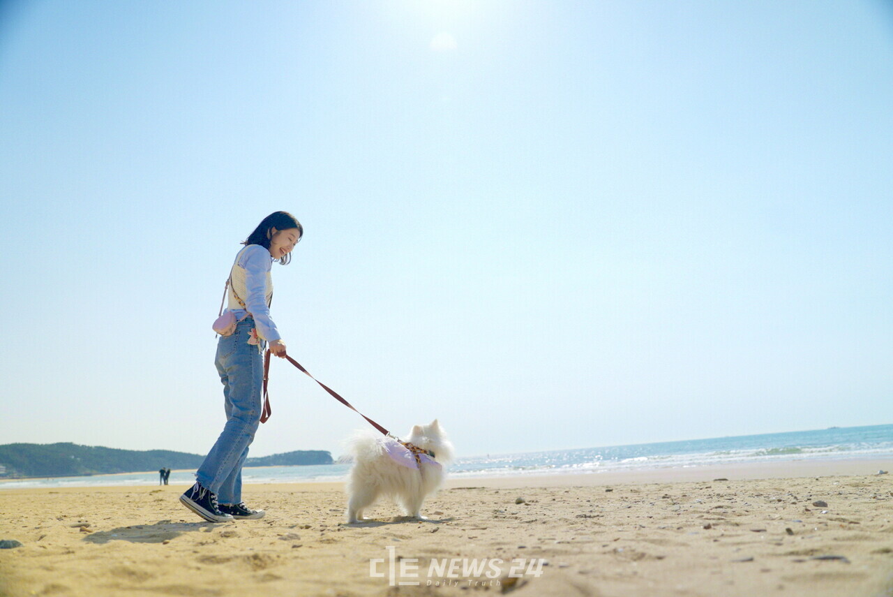태안군이 피서철을 맞아 서울에서 반려동물과 함께 버스를 타고 안면도 꽃지해수욕장을 다녀오는 여행 프로그램을 내놨다.  태안군