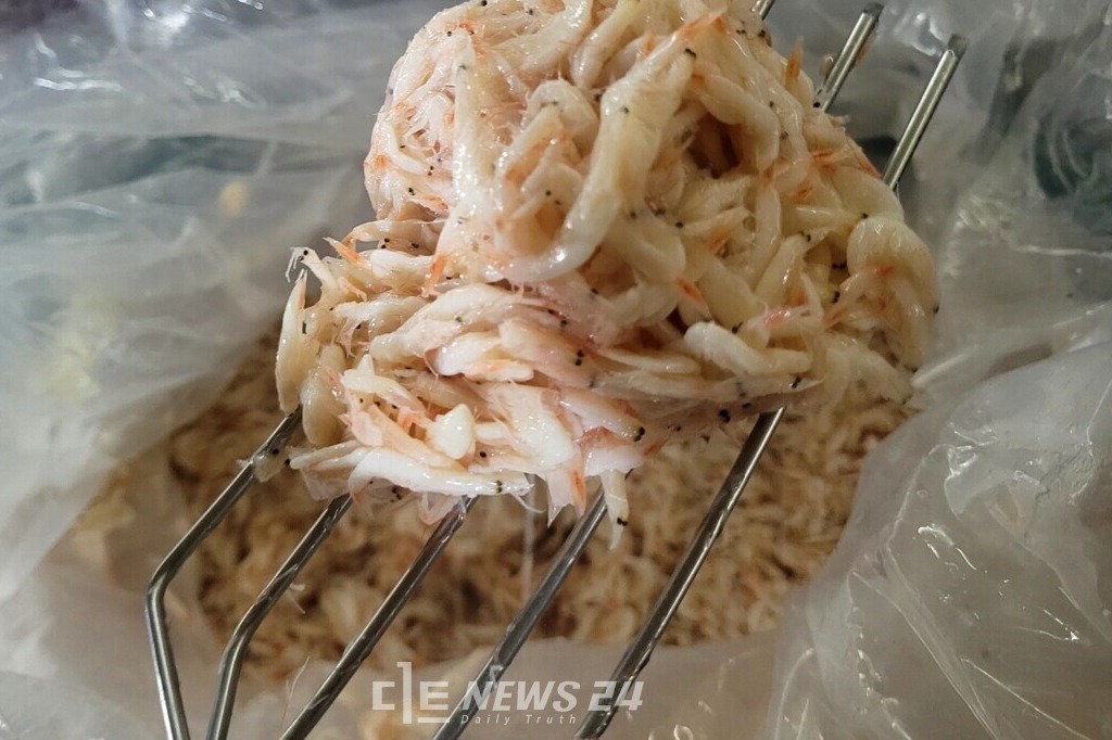 신 대표가 담근 새우젓 모습. 토굴에서 해풍, 온도, 습도가 적정하게 유지돼 최상의 맛을 자랑한다. 김다소미 기자. 